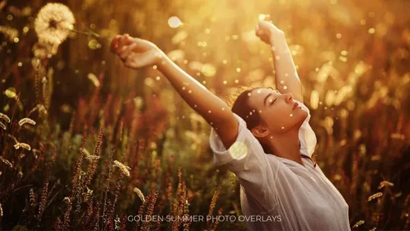 40张唯美夏季黄金时段摄影后期金色散景背景叠加合成素材 Golden Summer Photo Overlays