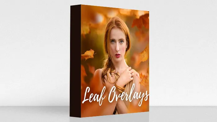 50组秋季落叶飘叶素材-附视频教程 JD Special Effects: Leaf Overlays & Actions