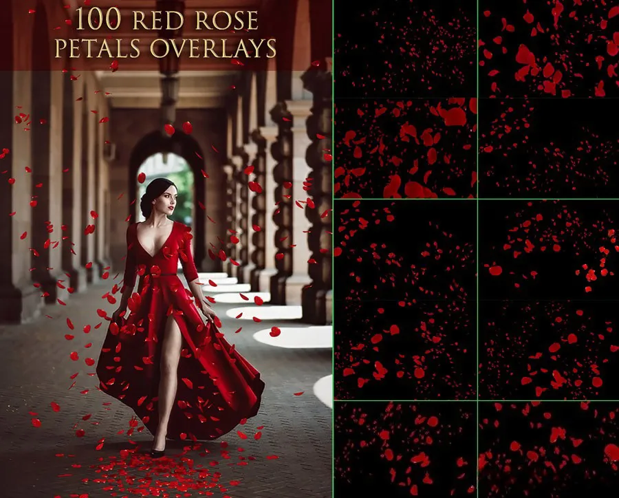 100张高清玫瑰花瓣叠加合成前景素材 100 Red Rose Petals Overlays