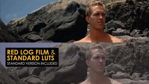 26组LUT预设-Red Log Film与Rec 709颜色分级视频调色 Red Log Film and Standard Luts
