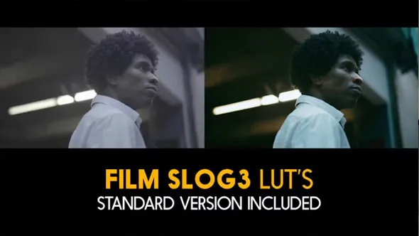 20个索尼Slog3和标准电影LUTs预设文件下载 Film Slog3 And Standard Luts
