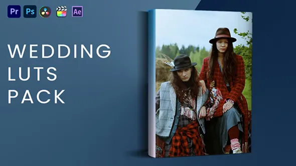 10个清新效果视频大片干净滤镜婚礼调色LUT预设 Wedding Luts Pack