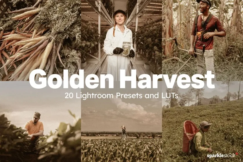 秋季电影胶片AI人工智能Lightroom预设及电影视频调色LUT预设 20 Golden Harvest Lightroom Presets and LUTs