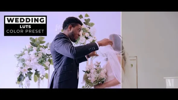 12个清新素雅婚礼视频调色LUT预设 Wedding LUTs