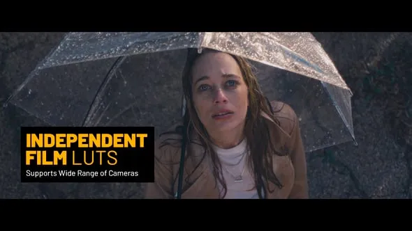 15个电影LUT 和 42 个“Log to Rec 709”LUT调色预设 Independent Film LUTs