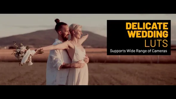 15个精致婚礼LUT和42个 LOG-REC 709 转换 LUT预设 Delicate Wedding Color LUTs