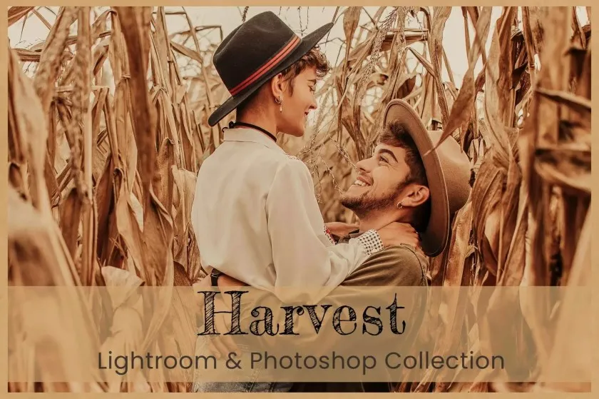 20款金色深秋温暖浓郁摄影后期调色LR预设LUT预设 Harvest Photoshop Actions Lightroom