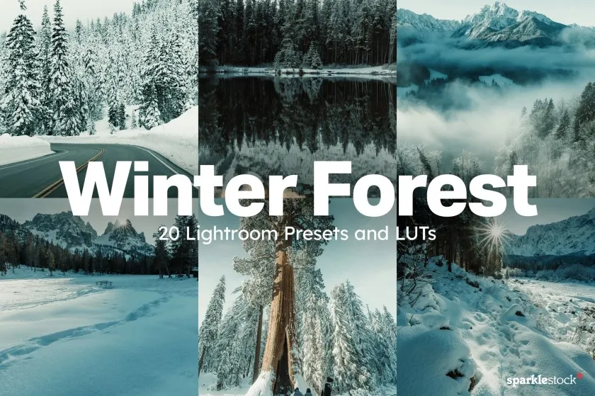 20款冬季雪景户外摄影后期调色LUT预设 20 Winter Forest Lightroom Presets & LUTs