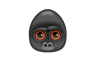 Debookee v8.2.0 激活版 Mac网络数据抓包及分析工具