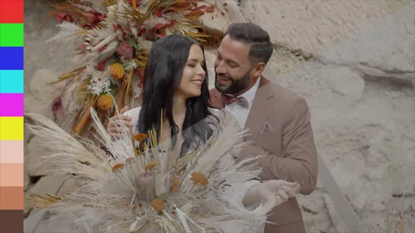 Sony α 系列相机的色彩还原转换LUT预设 Gamut – Sony BaseLUTs for S-Log3 / S-Log2