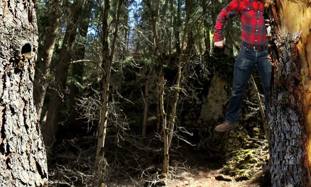 AE二维动画入门训练视频教程 Beginning 2D Computer Animation in After Effects