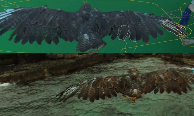 AE老鹰飞翔绿屏抠像技术大师级训练视频教程