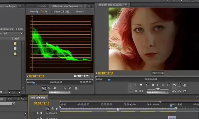 PR教程Premiere色彩校正技法视频教程 中文字幕