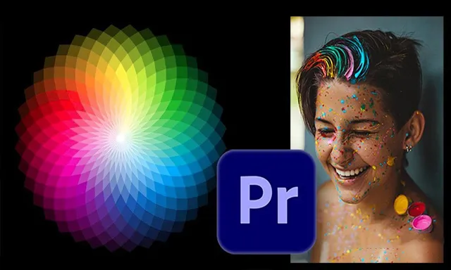 Premiere Pro专业色彩校正色彩分级技术训练视频教程