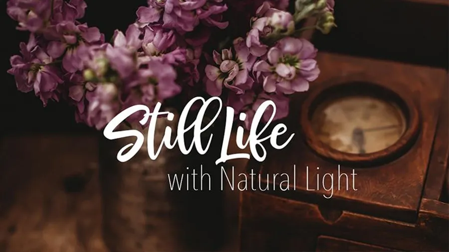 摄影师 Carolyn Watson 自然光静物产品图像摄影教程-中英字幕 Still Life With Natural Light