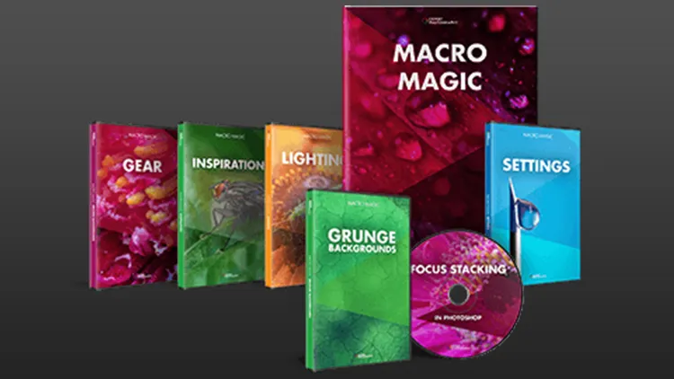 JOSHUA DUNLOP-掌握宏观微距摄影-捕捉惊人的细节-中文字幕 EXPERT PHOTOGRAPHY – MACRO MAGIC WITH JOSHUA DUNLOP