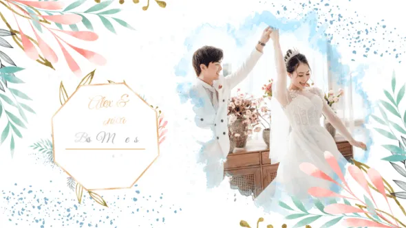 清新彩色墨水动画浪漫婚礼相册婚纱照视频PR模板下载 Ink Romantic Wedding Slideshow (MOGRT)