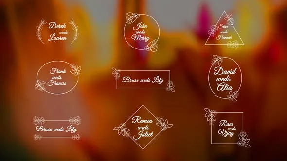 简约线条花卉装饰元素复古样式婚礼标题邀请函卡片文本PR模板下载 Wedding Titles