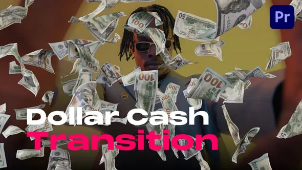 11个纸币美元现金飞行钞票过渡效果PR模板 Dollar Cash Transitions
