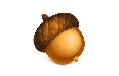 Acorn v8.2.0 激活版 Mac轻量级图片处理软件