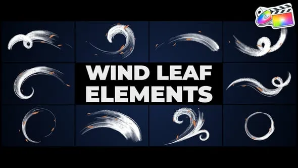 11个抽象卡通手绘风叶动画元素FCPX插件 Wind Leaf Elements