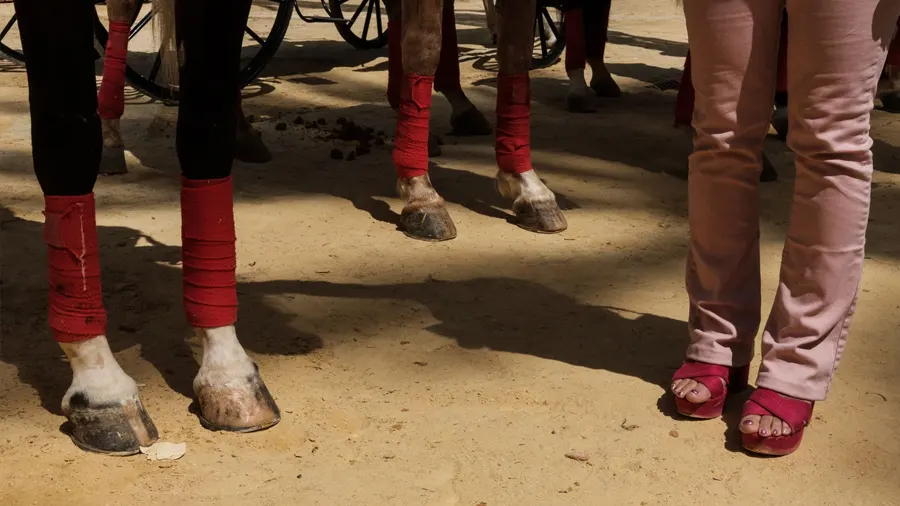 摄影师Polly Rusyn街头摄影构图:用科学改变你的摄影-中英字幕 Transform Your Street Photography by Learning the Secrets of What Makes a Great Photograph